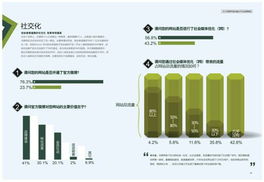 2012年中國互聯網創業者生存狀況調查 近半數年收入低于千元，個人互聯網服務領域挑戰與機遇并存